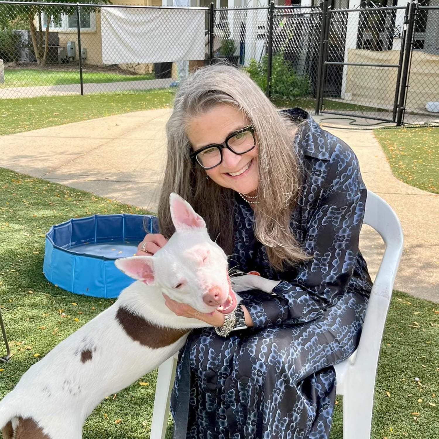 Operation Indy Animals Donna Casamento Square