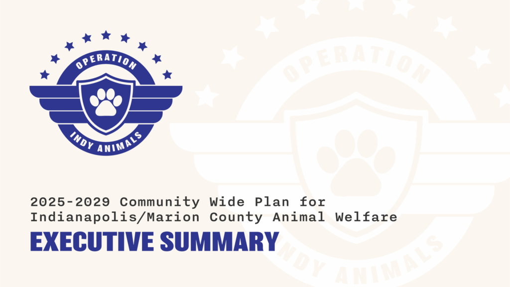 Operation Indy Animals Executive Summary Slide 1 1024x576