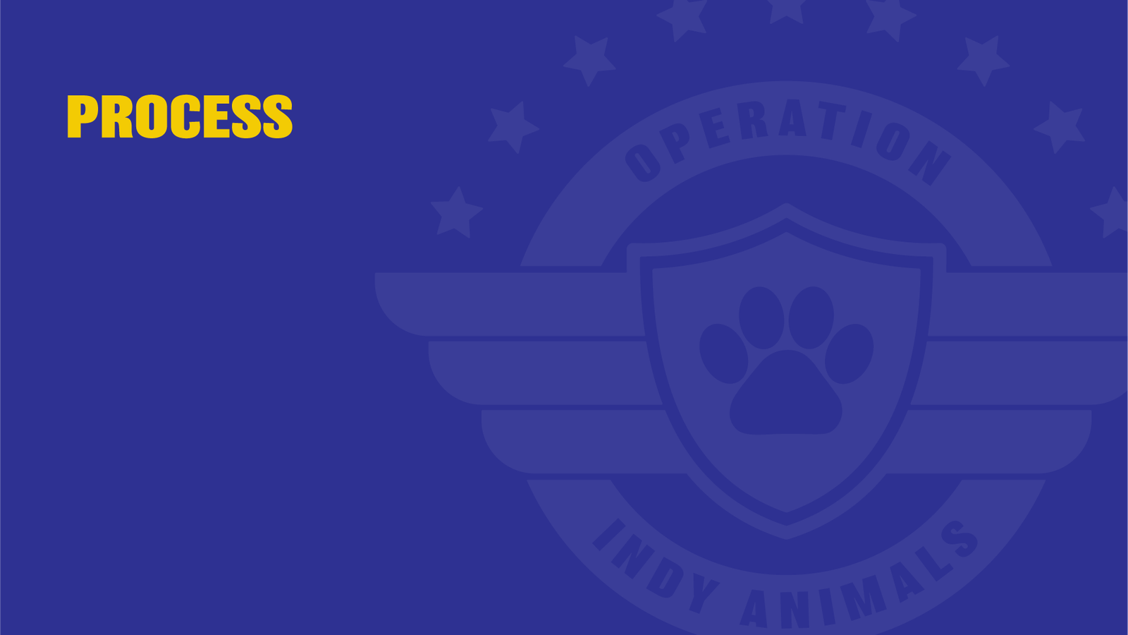 Operation Indy Animals, Executive Summary slide 2