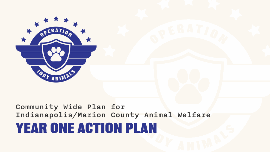 Operation Indy Animals Year One Action Plan FOR PUBLIC 01 1024x576
