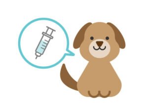 Dog Vaccines