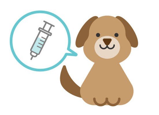 dog vax