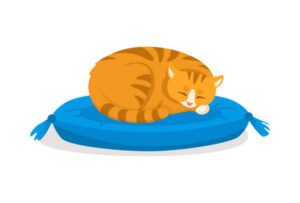 Feline Leukemia Virus (FELV)