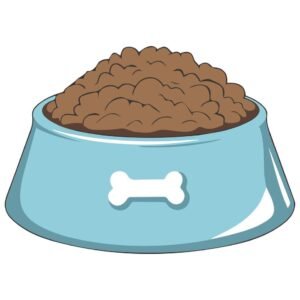 Bland Diet for Dogs