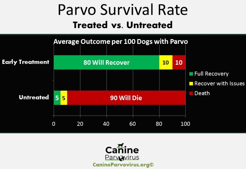 parvo