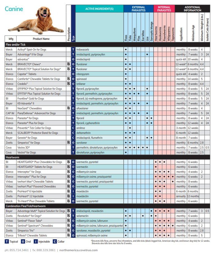 dog chart