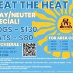 Beat the Heat Spay Neuter Event