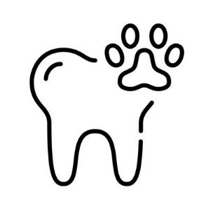 tooth
